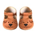 Moccs Tstrap Perrito